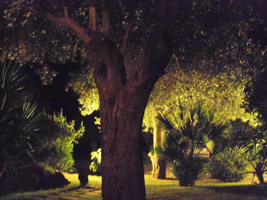 Gli Ulivi Appartement Alghero Kamer foto