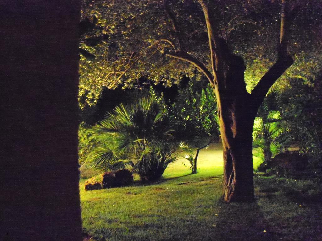 Gli Ulivi Appartement Alghero Buitenkant foto